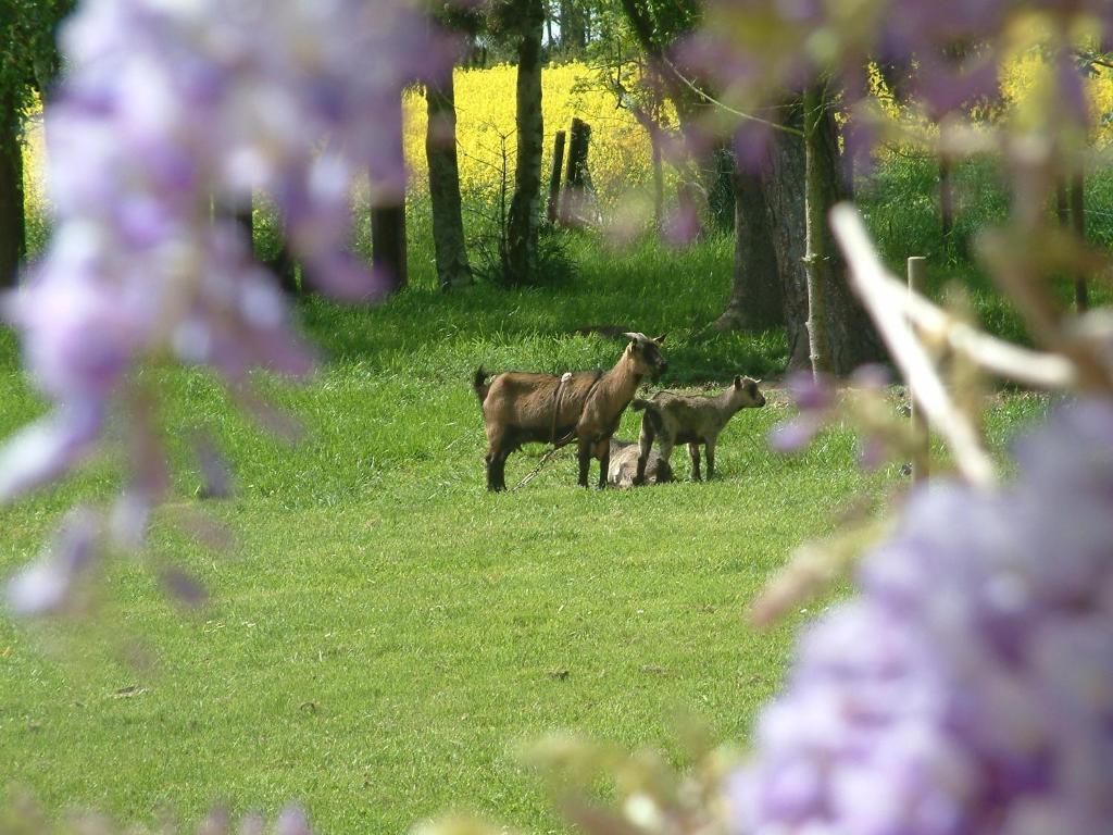 Maison Prairie Bonheur Magny-les-Hameaux Bilik gambar