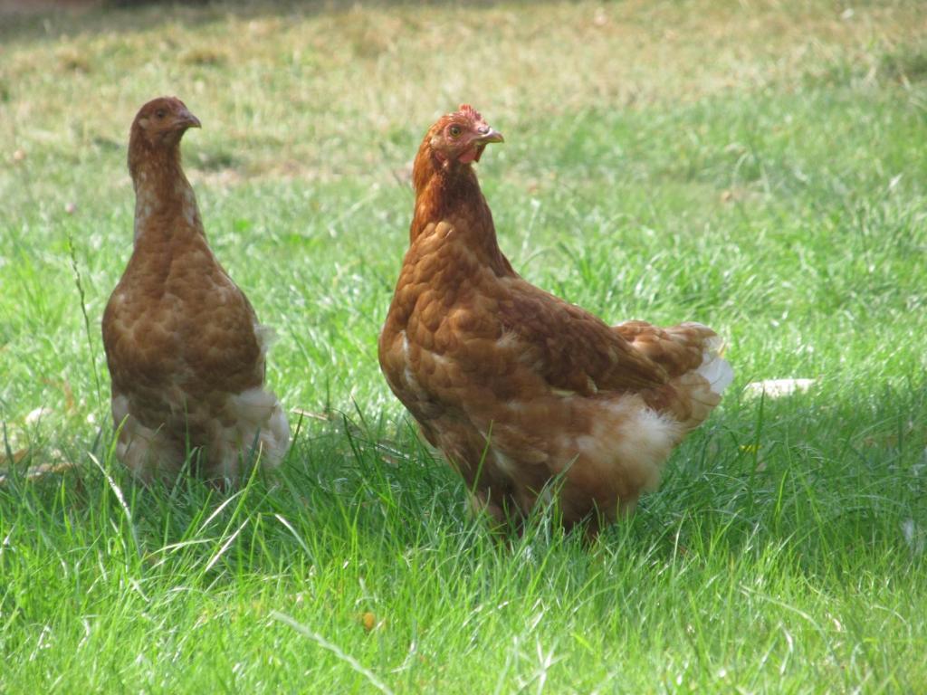 Maison Prairie Bonheur Magny-les-Hameaux Bilik gambar